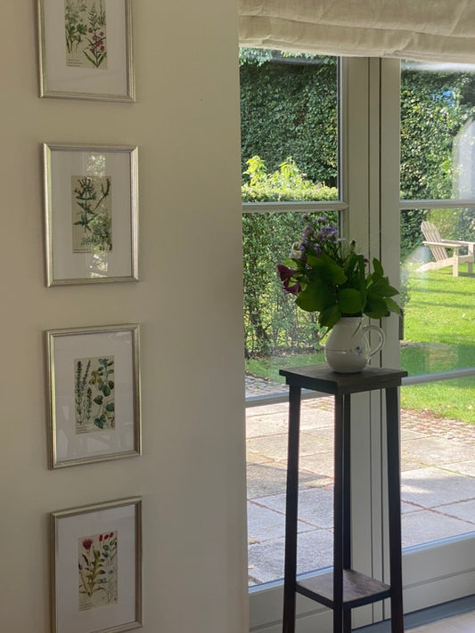 Antique ukrainian botanical framed pictures, set of 4
